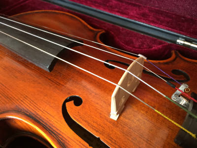 Violin closeup