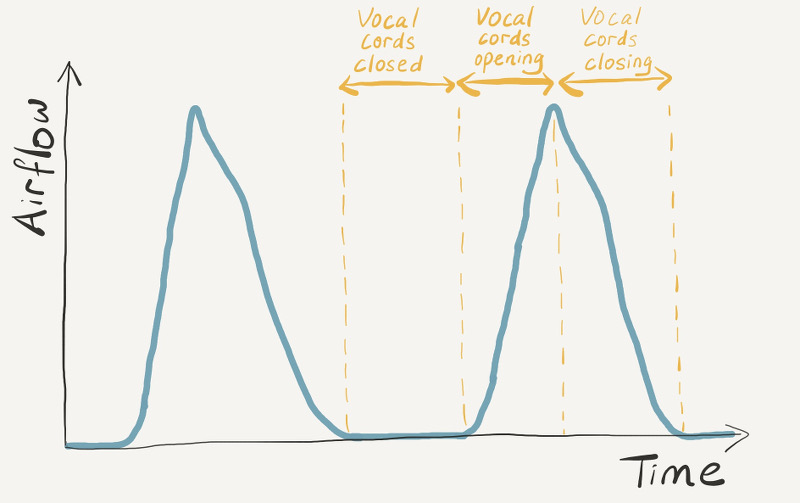Airflow through vocal cords